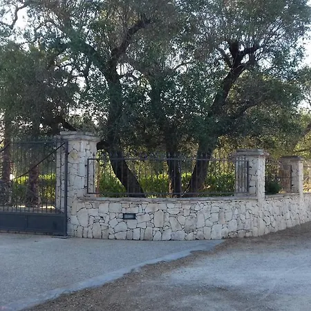 Paradiso